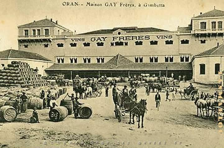 vue d oran (7).jpg